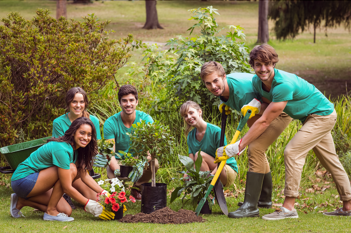 Six people working on a community gardening project